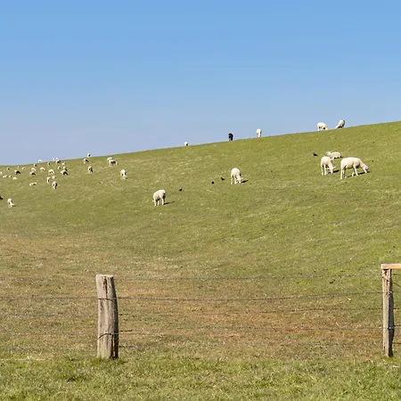 Haus Am Familie Frener Apartmán *